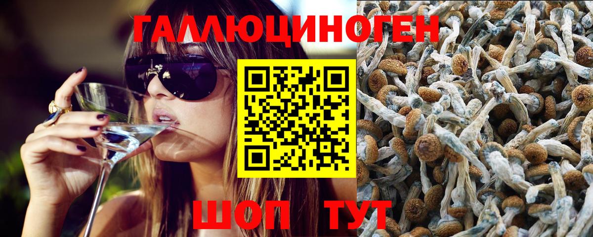 Псилоцибиновые грибы Psilocybine cubensis  Вход с VPN  Галлюциногенные грибы мухоморы  Реутов 