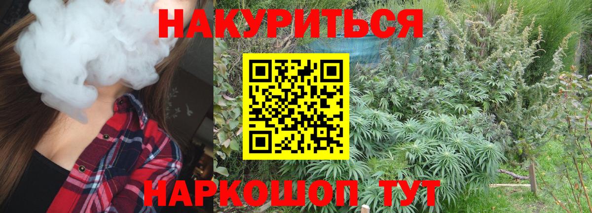 Бошки марихуана индика  Бошки Шишки тримм  Вход с VPN  Каннабис планчик  Реутов 